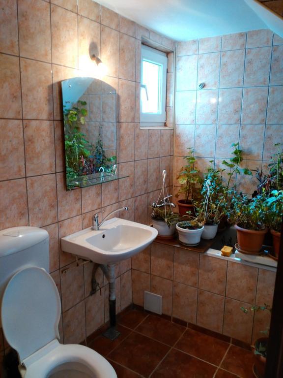 Vila Marcela Buşteni Rom bilde