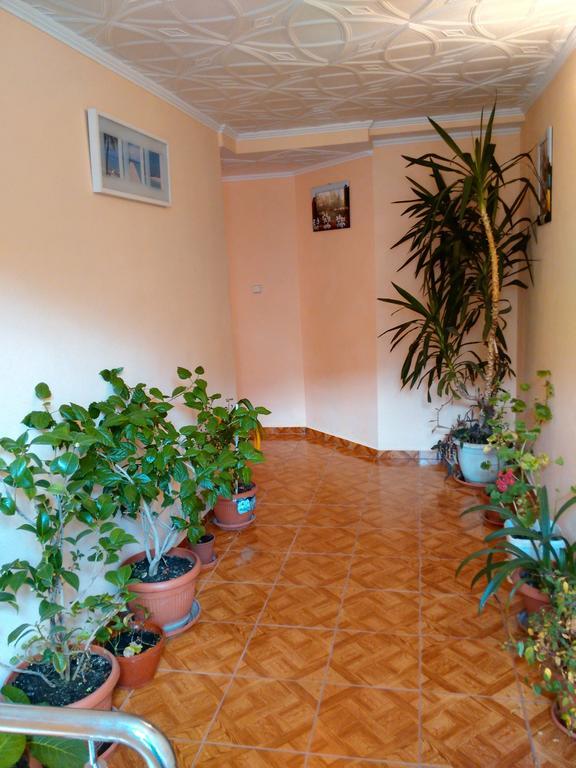 Vila Marcela Buşteni Rom bilde