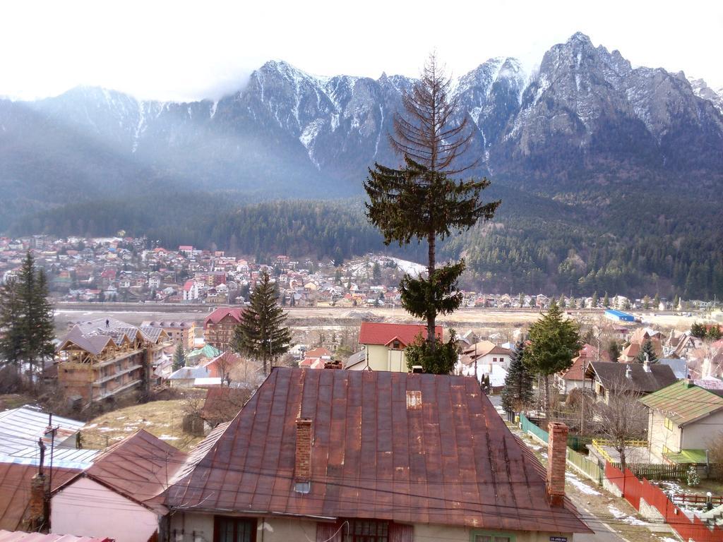 Vila Marcela Buşteni Rom bilde
