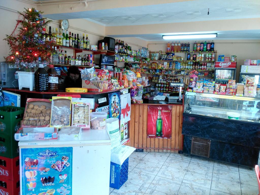 Vila Marcela Buşteni Rom bilde