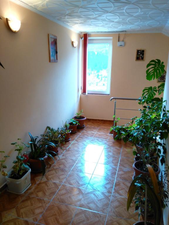 Vila Marcela Buşteni Rom bilde
