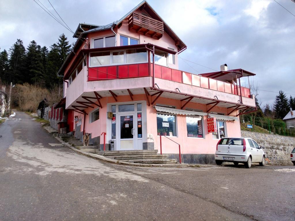 Vila Marcela Buşteni Eksteriør bilde